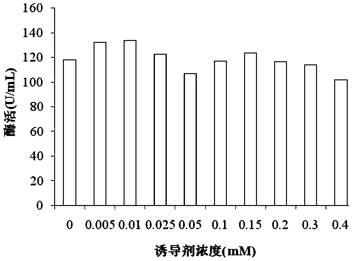 A method for extracellular production of starch branching enzyme without signal peptide