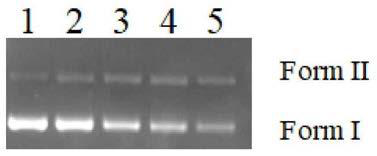 Use method of single-layer molybdenum disulfide and DNA cleaving method