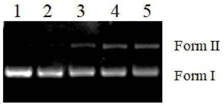 Use method of single-layer molybdenum disulfide and DNA cleaving method