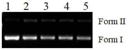 Use method of single-layer molybdenum disulfide and DNA cleaving method