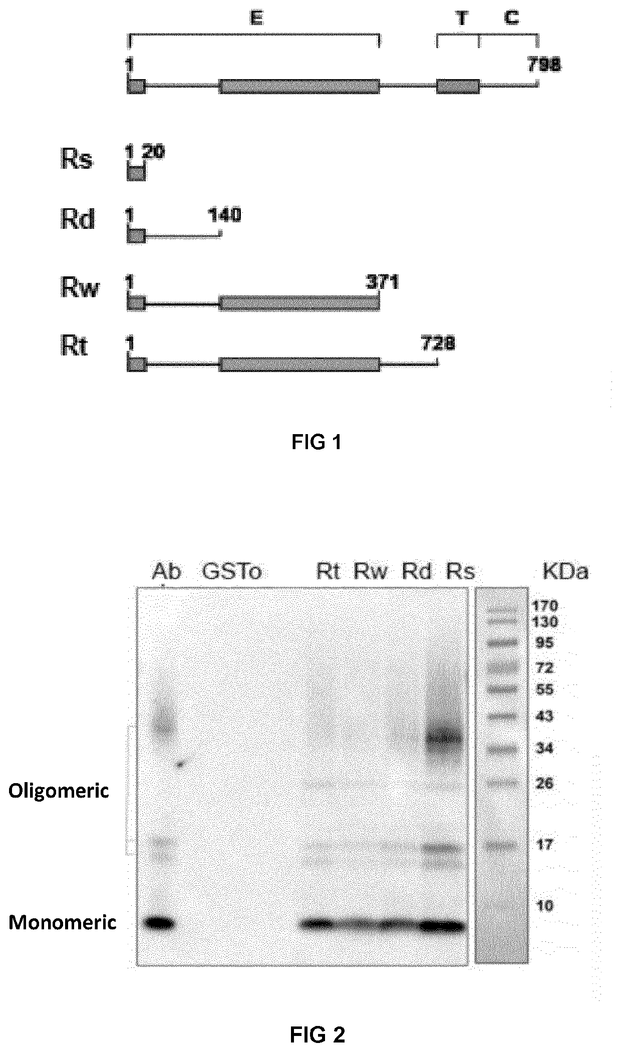 Compounds and methods for the treatment of alzheimer's disease