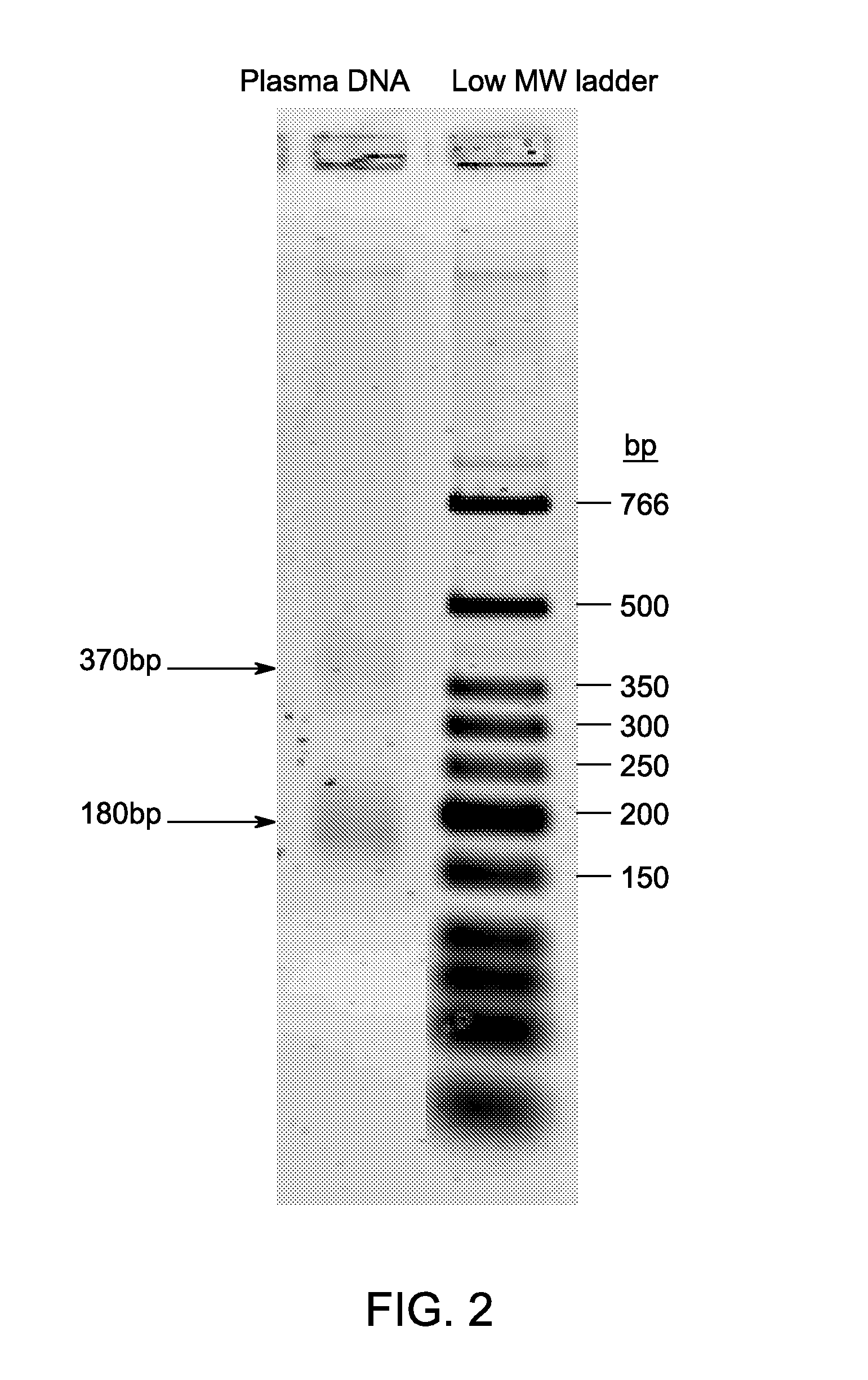 Ligase-assisted nucleic acid circularization and amplification
