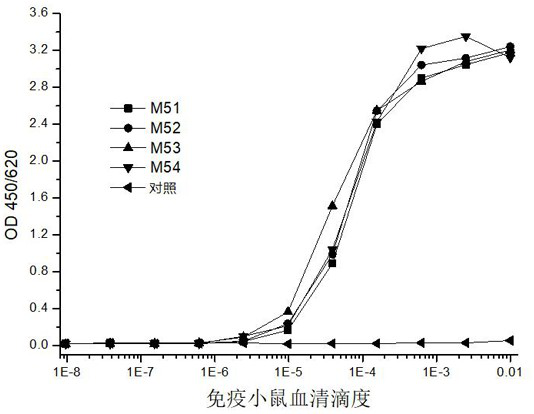 Antibody or antigen-binding fragment thereof against novel coronavirus nucleocapsid protein and application thereof