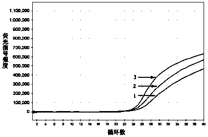 Triple fluorescent quantitative RT (Reverse Transcription)-PCR (Polymerase Chain Reaction) kit for detecting human calicivirus