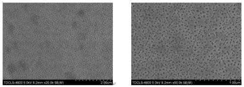 Self-supporting nanoporous nitrogen reducing catalyst and preparation method thereof