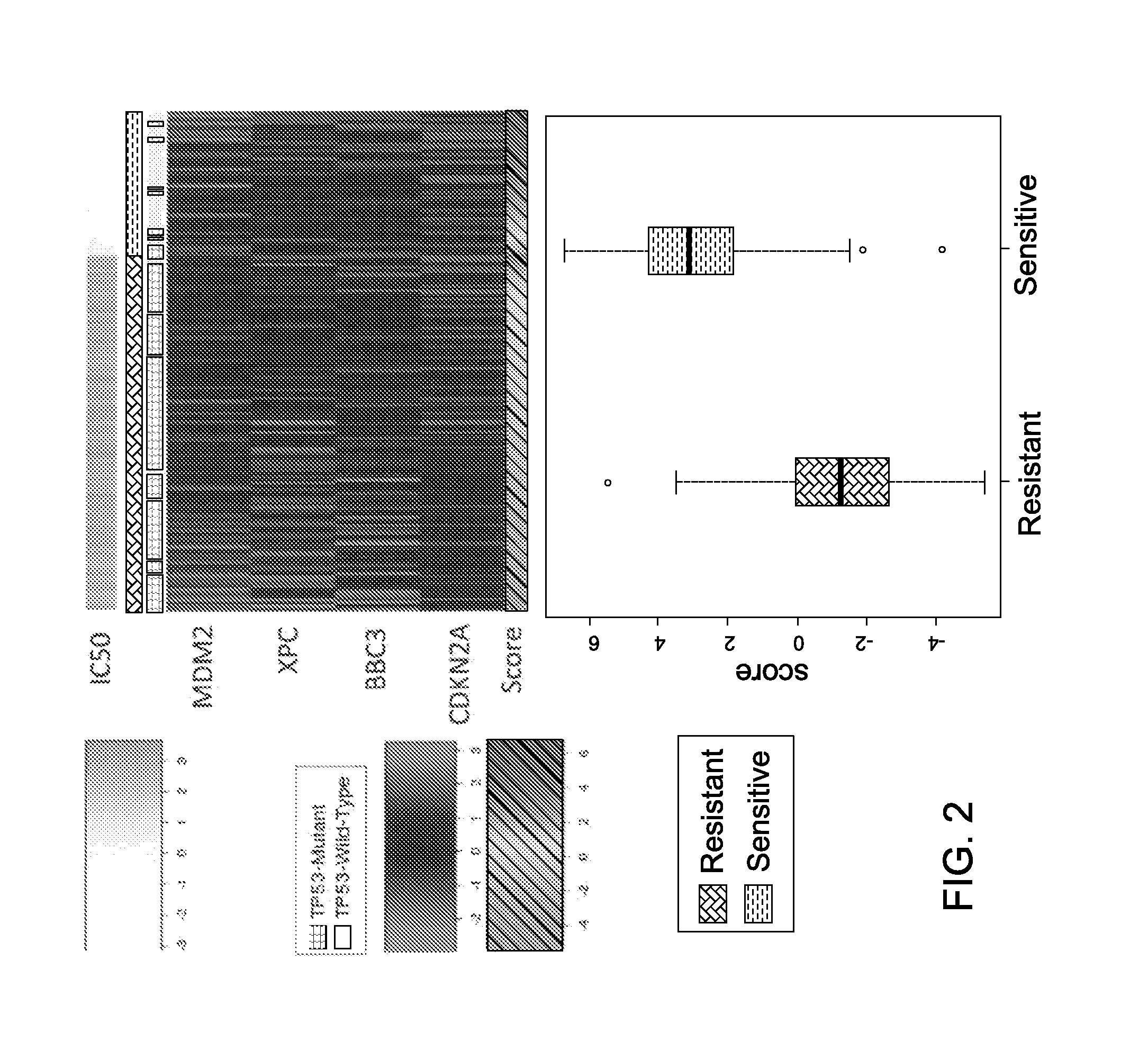 Mrna-based gene expression for personalizing patient cancer therapy with an MDM2 antagonist