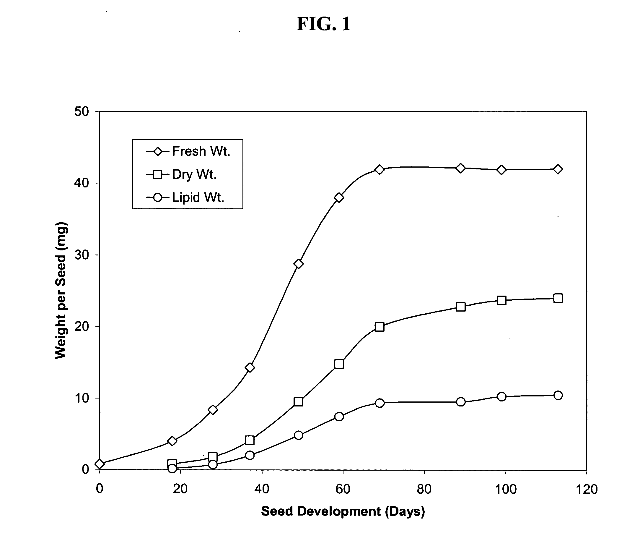 Diacylglycerol acyltransferase genes, proteins, and uses thereof