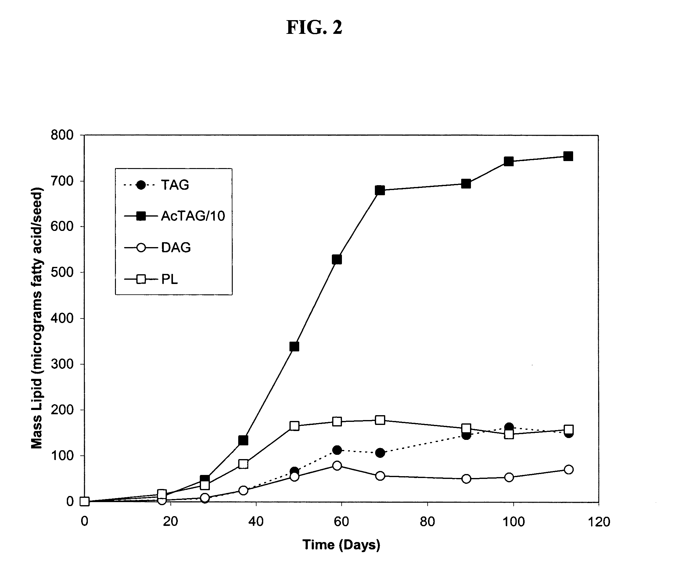 Diacylglycerol acyltransferase genes, proteins, and uses thereof