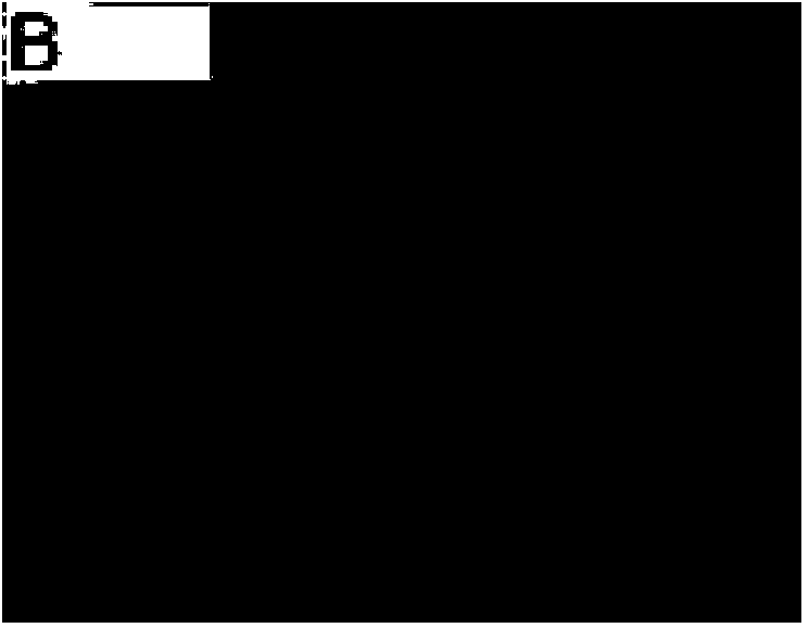 Method of improving killing effect of CIK cells on cancer cells