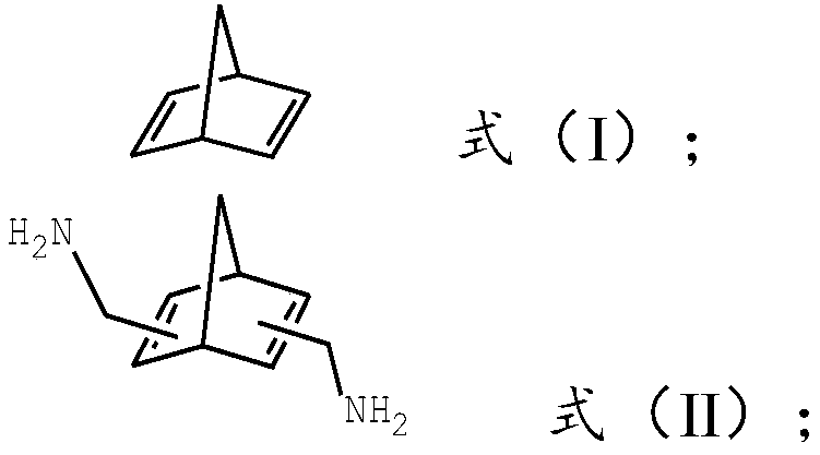 Preparation method of norbornane dimethyl amine