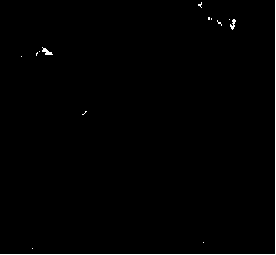 A graphene-cuins  <sub>2</sub> nanocomposite photocatalyst