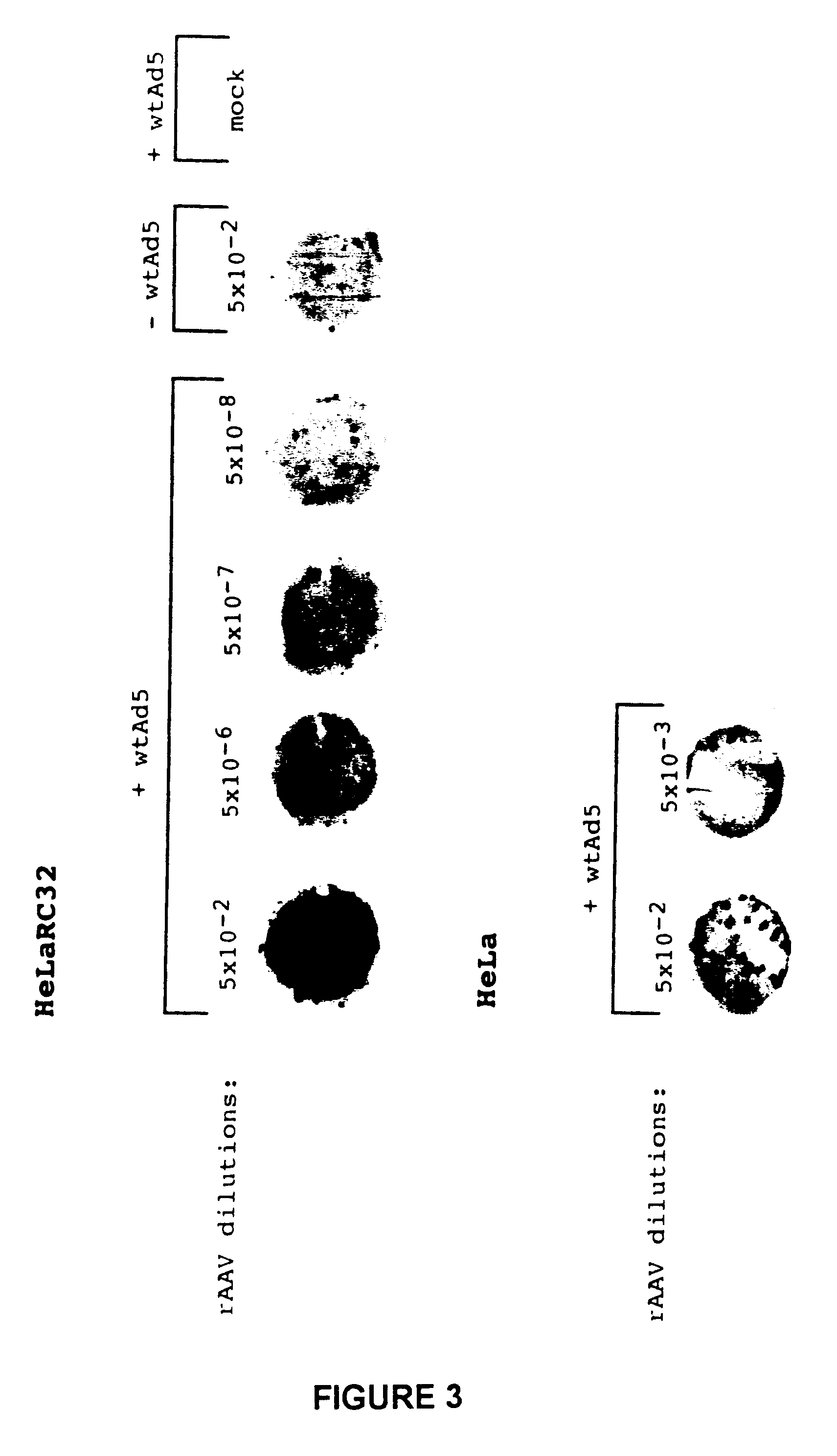 Compositions and methods for recombinant Adeno-Associated Virus production