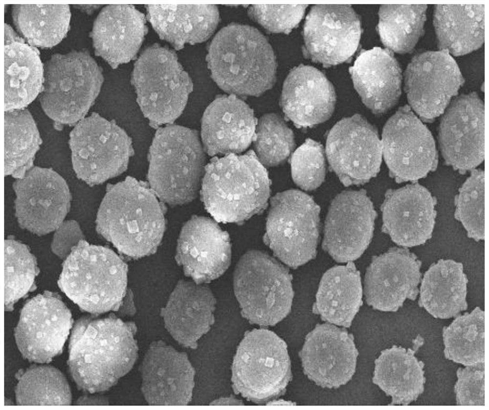 Polyhedron-rich composite phase precursor, preparation method thereof and lithium-rich positive electrode material