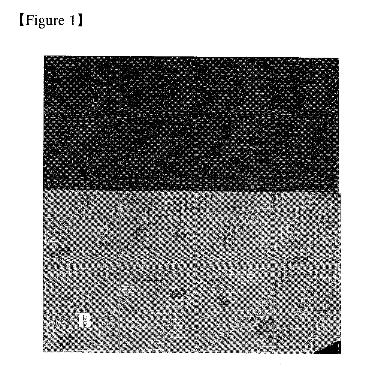 Microalgae with high-efficient ability to remove carbon dioxide and use thereof