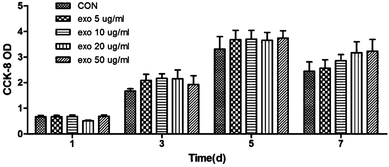 Skin epidermal cell oxidation resistance of mesenchymal stem cell exosome and preparation method of mesenchymal stem cell exosome preparation