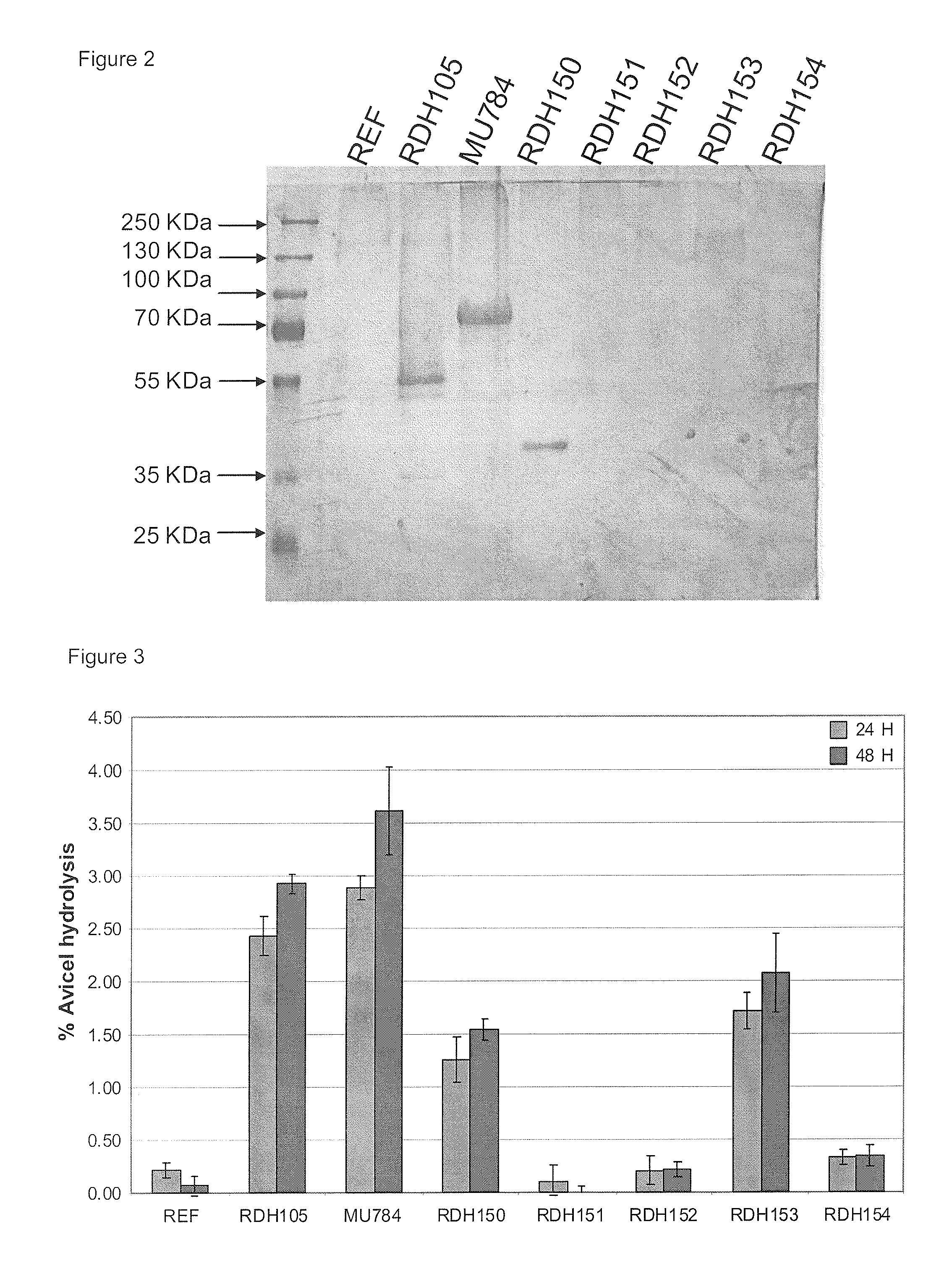 Heterologous expression of fungal cellobiohydrolase 2 genes in yeast