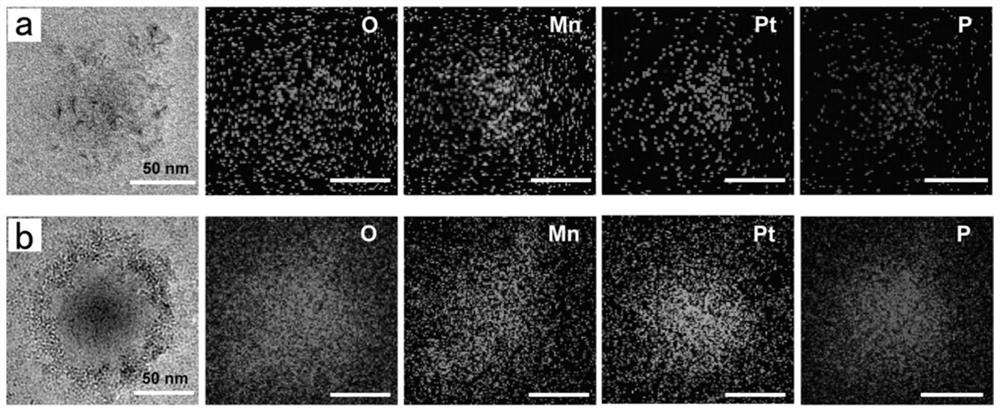 Bionic nano hydrogel coated with a macrophage membrane and loaded with manganese dioxide MnO2 and cis-platinum Pt as well as preparation and application thereof