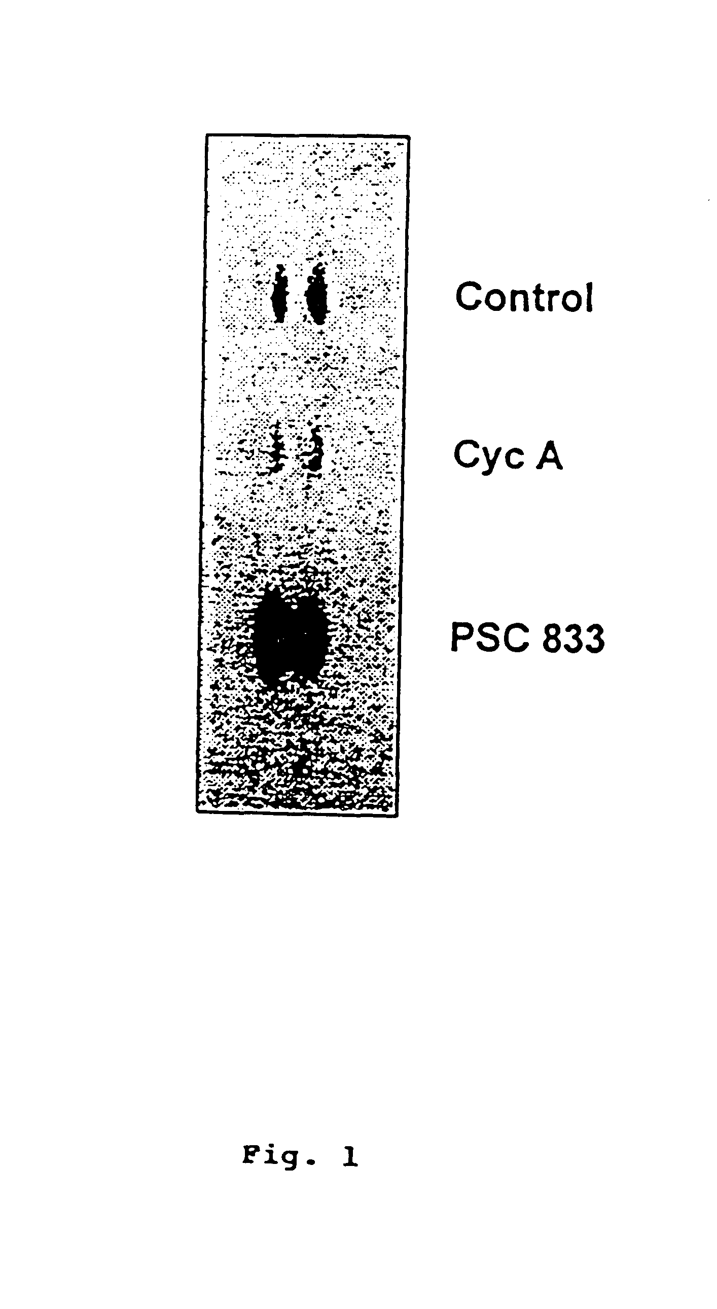 Methods for screening therapeutically effective agents
