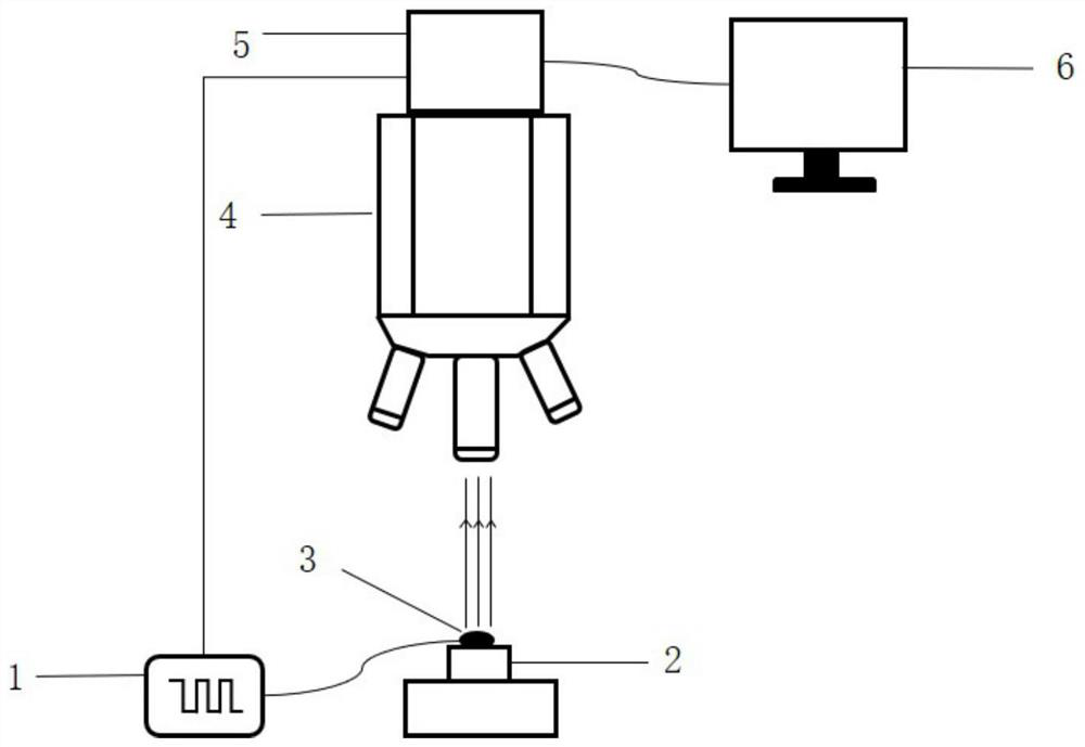 Collection method and device for periodic high-speed image signals