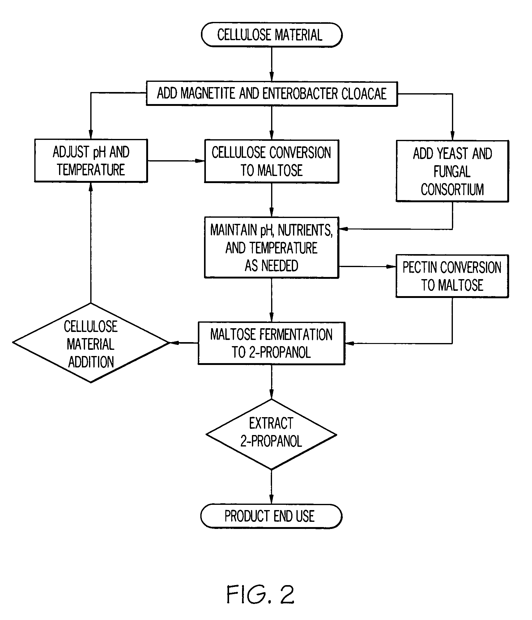 Process for producing ethyl alcohol from cellulosic materials