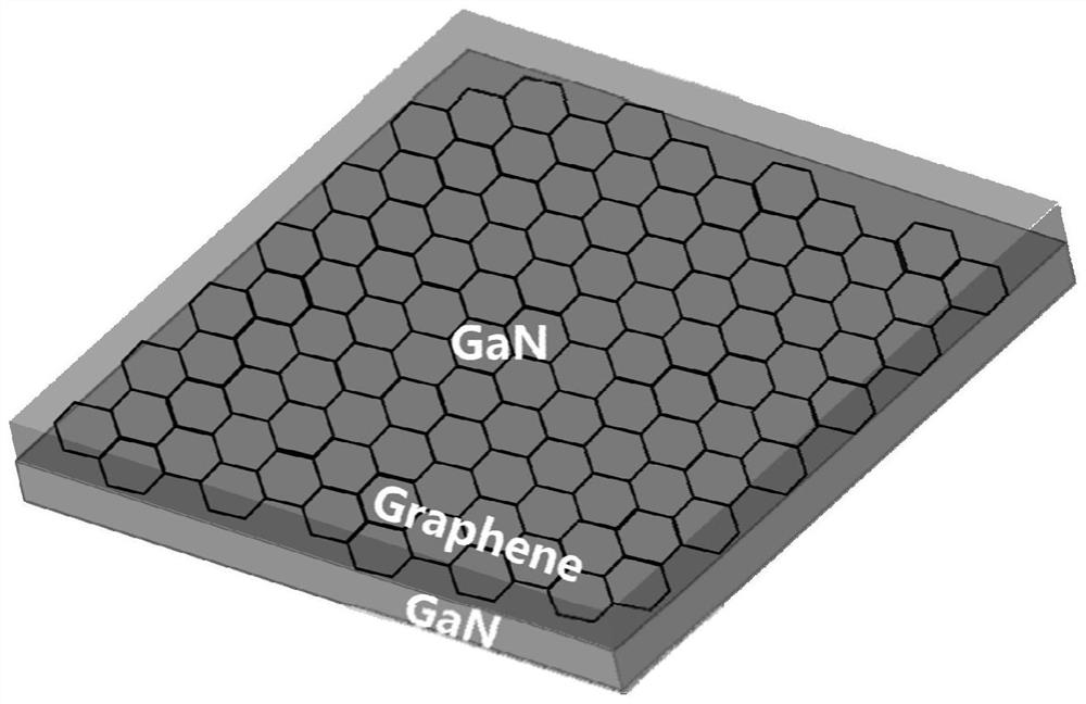 A method for homoepitaxially growing gallium nitride, gallium nitride material and application