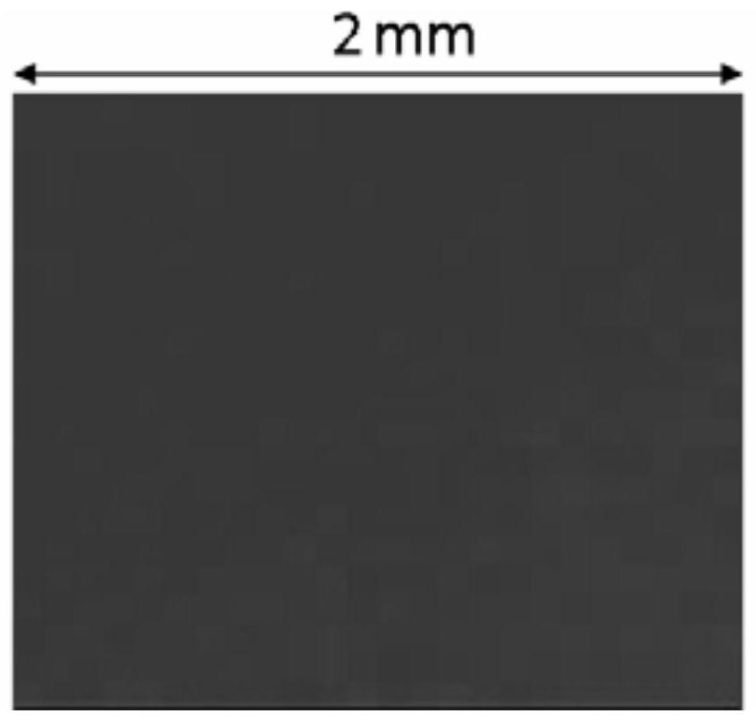 A method for homoepitaxially growing gallium nitride, gallium nitride material and application