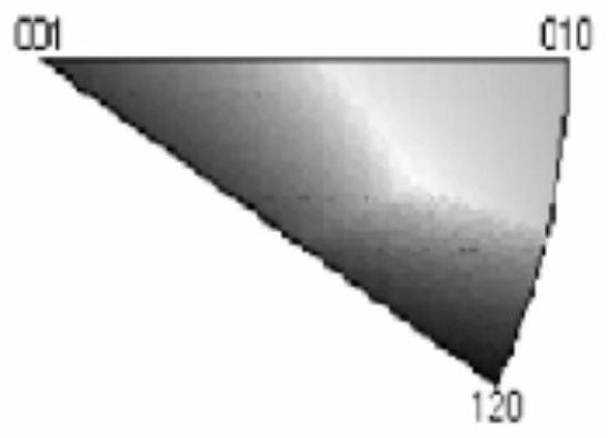 A method for homoepitaxially growing gallium nitride, gallium nitride material and application