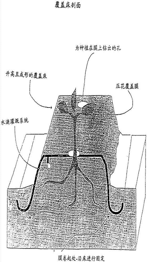 Covering film and plant cultivation method