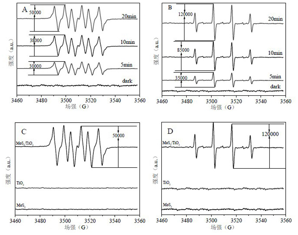 Nano flower-like composite catalyst and its preparation method and application