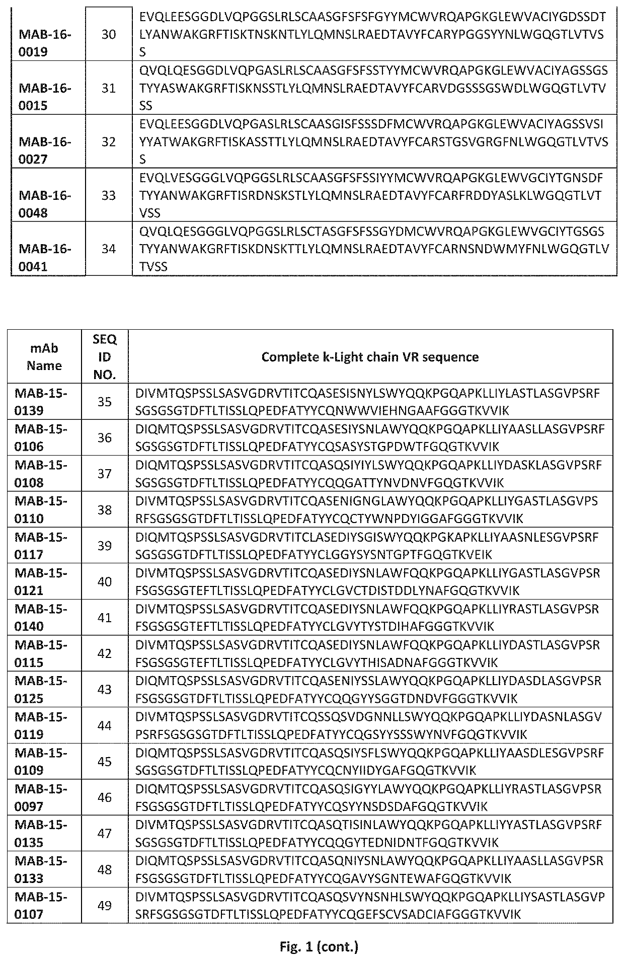 Humanized anti-IL-1R3 antibodies
