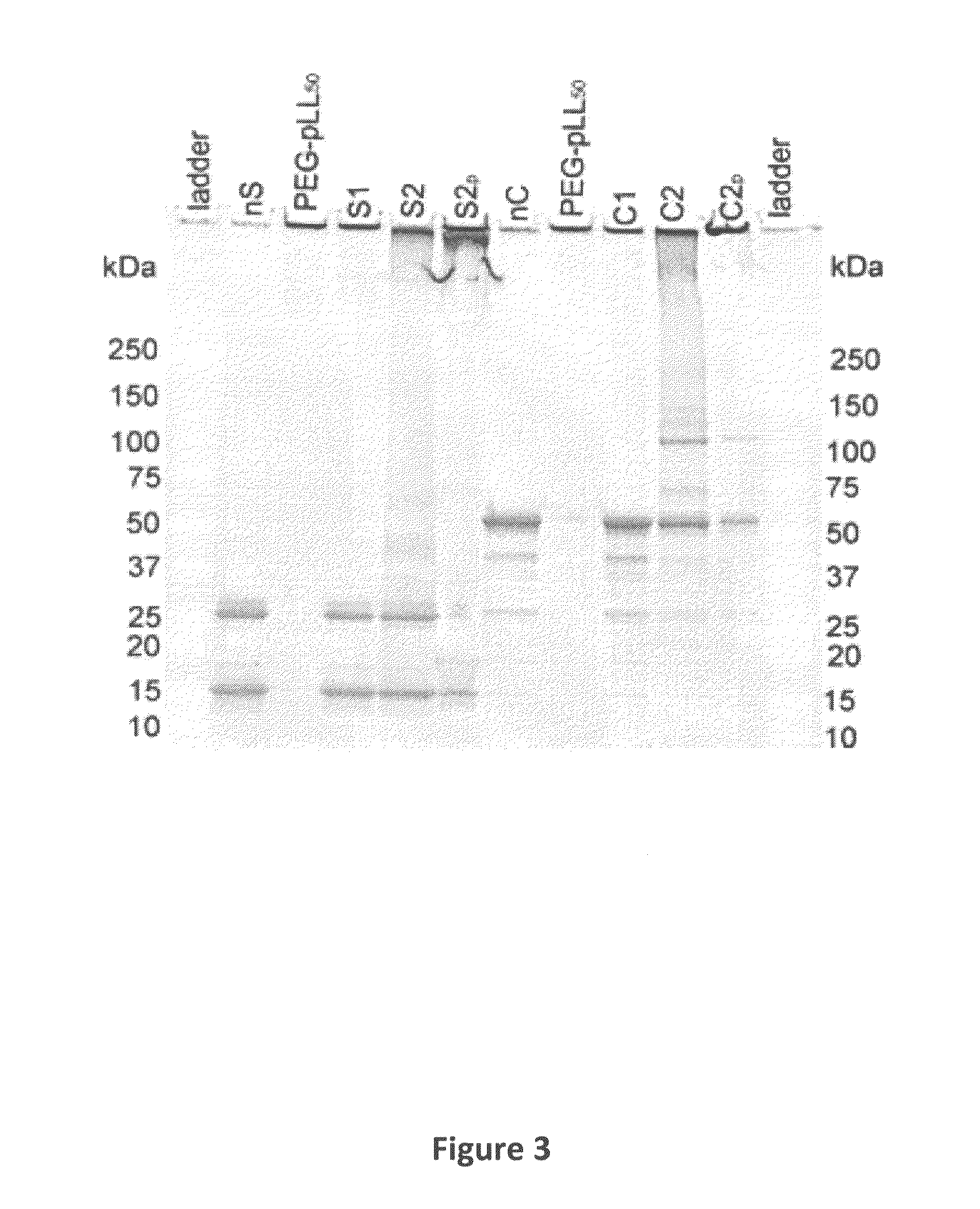 Compositions and Methods for the Treatment of Lung Inflammation