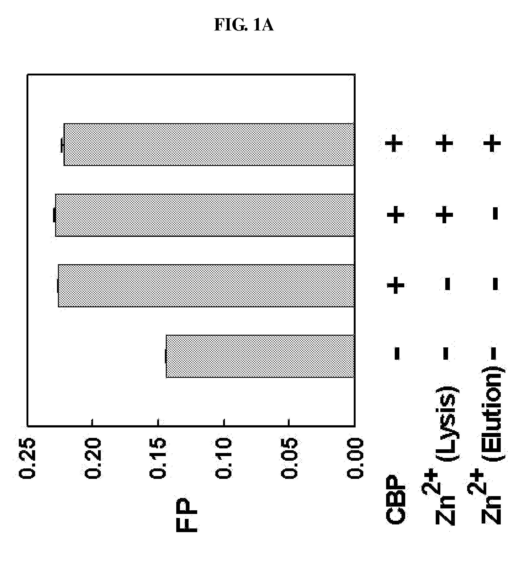 METHOD FOR QUANTITATIVE ANALYSIS OF INTERACTIONS BETWEEN HIF-1ALPHA C-TERMINAL PEPTIDES AND CBP OR p300 PROTEINS AND METHOD OF SCREENING INHIBITORS USING THE SAME