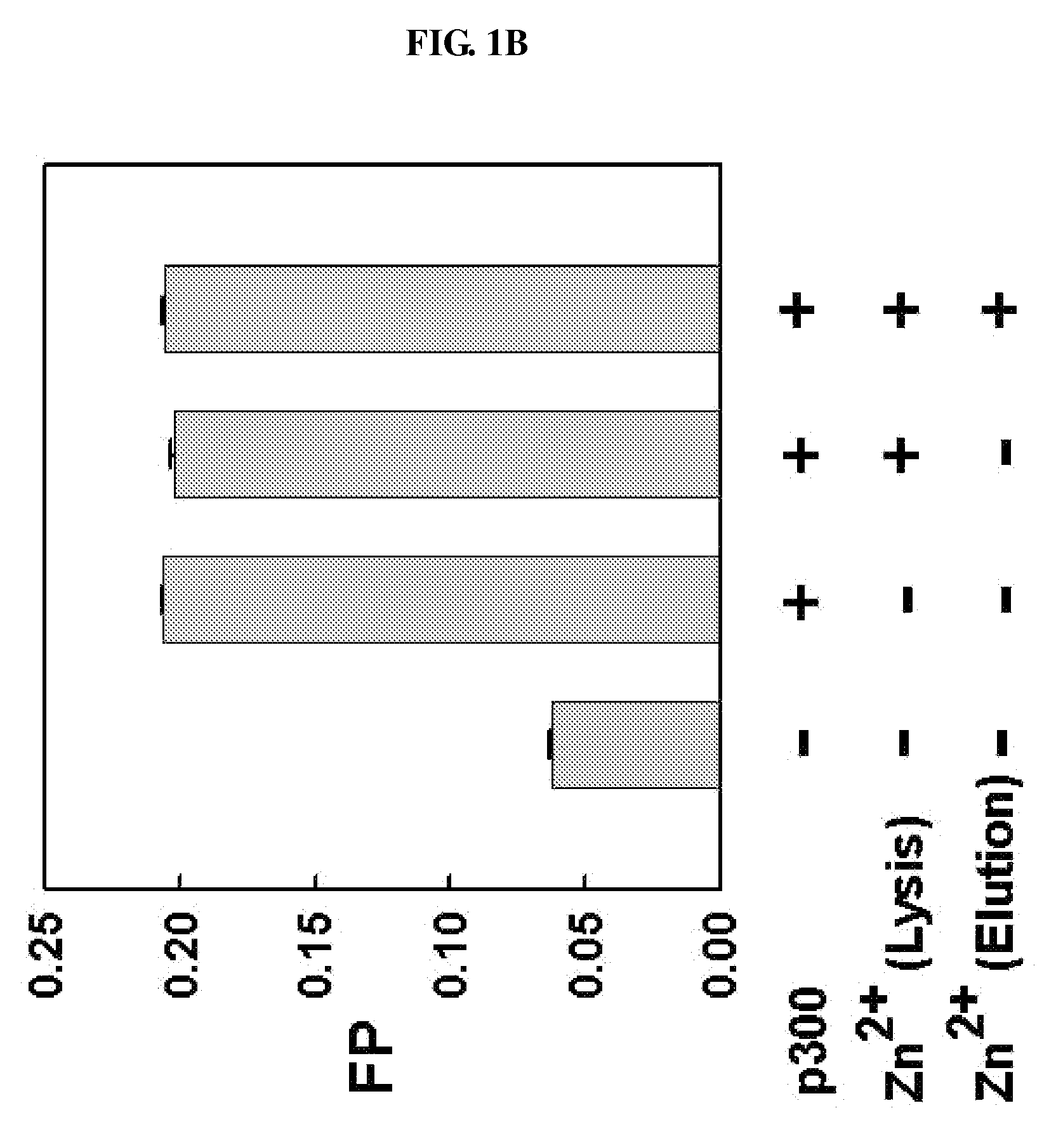 METHOD FOR QUANTITATIVE ANALYSIS OF INTERACTIONS BETWEEN HIF-1ALPHA C-TERMINAL PEPTIDES AND CBP OR p300 PROTEINS AND METHOD OF SCREENING INHIBITORS USING THE SAME