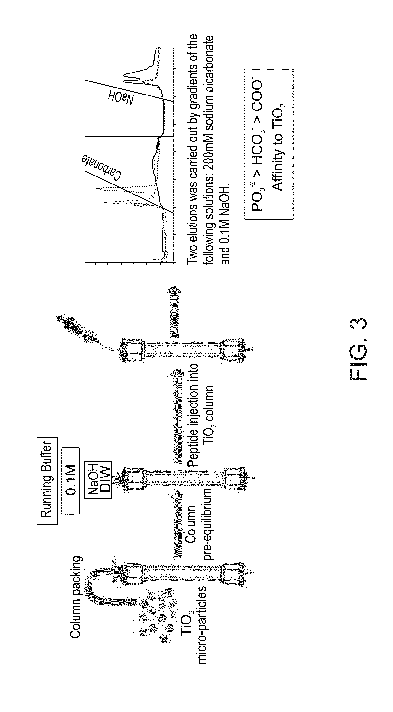 Functionalized titanium binding peptides and implants coated with same