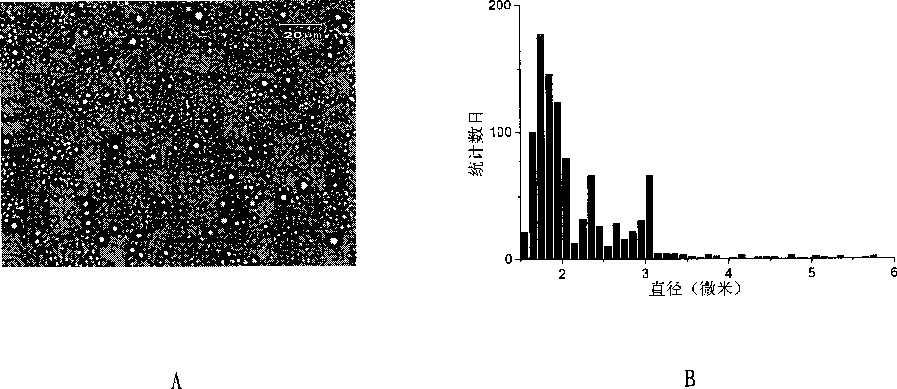 Double-template method hydroxyethyl cellulose modified alginate microsphere and its preparation method