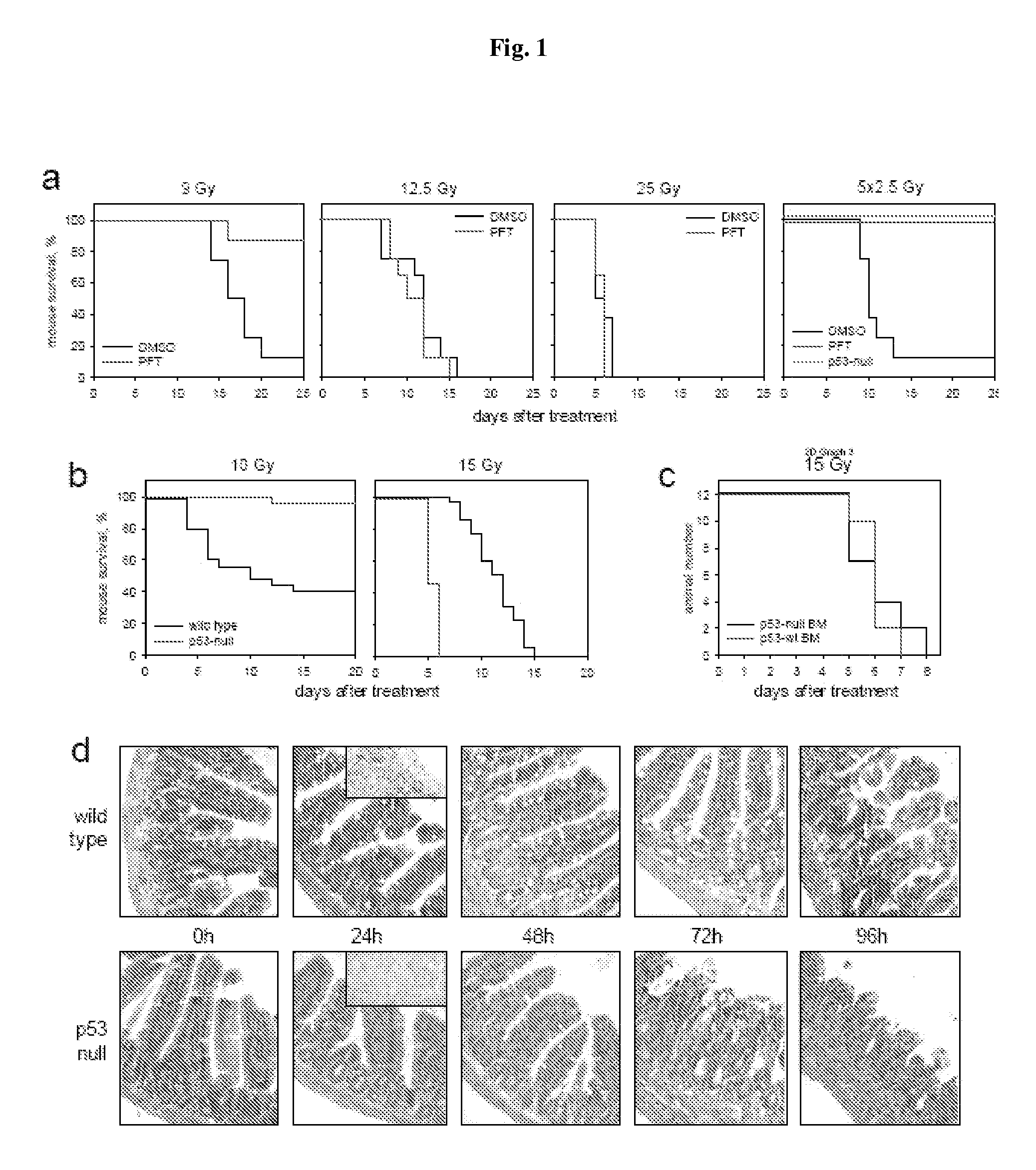 Method for Reducing The Effects of Chemotherapy Using Flagellin Related Polypeptides