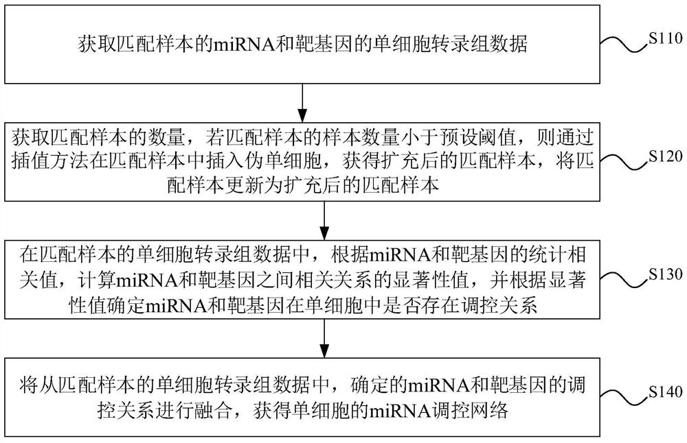 Identification method, device, equipment and storage medium of single-cell miRNA regulatory network
