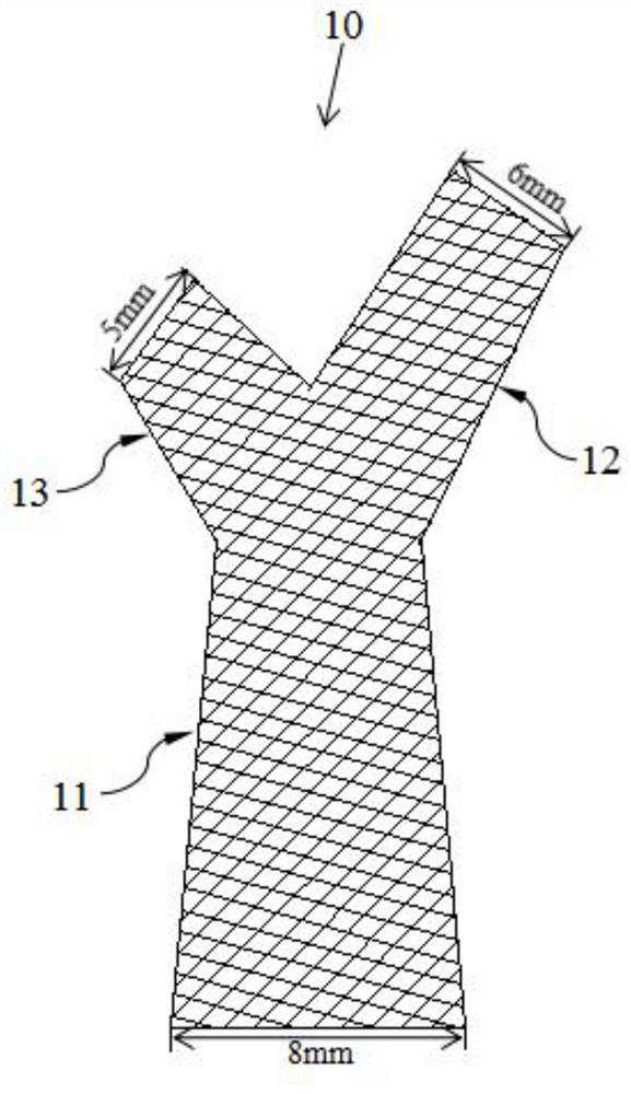 A y-shaped carotid stent with absorbable branches from the skeletal membrane