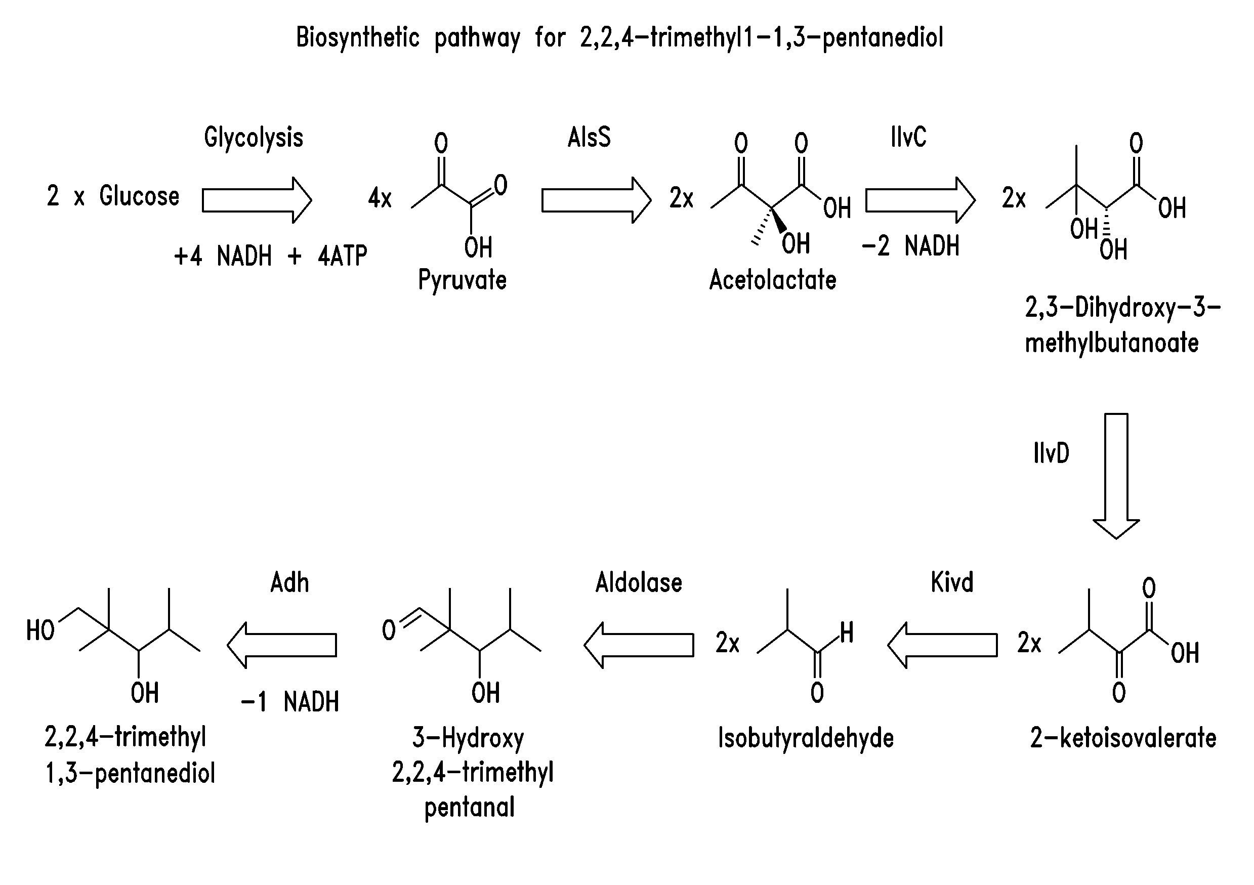 Biosynthesis of commodity chemicals