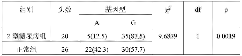 SNP marker related to miniature pig type 2 diabetes and SNP marker detection method as well as application of SNP marker