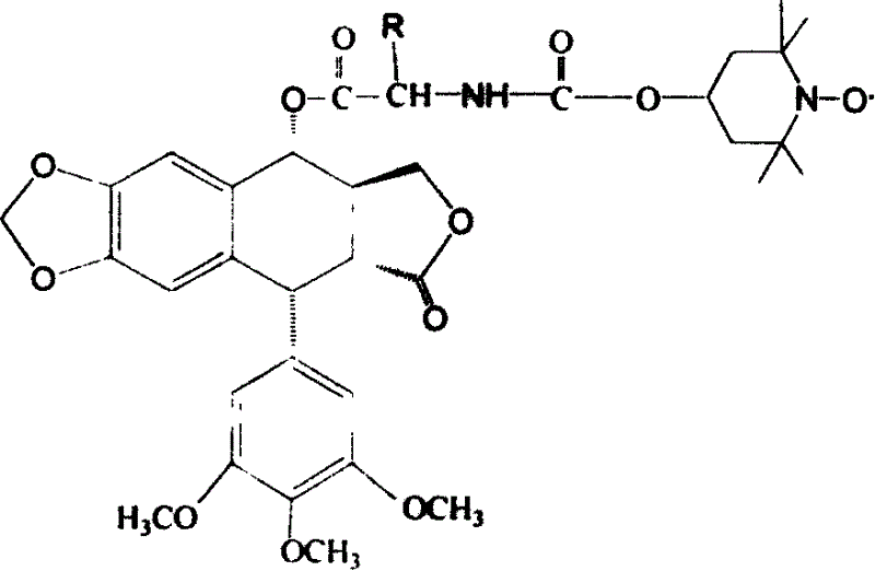 Podophyllotoxin compounds and their application and preparation process