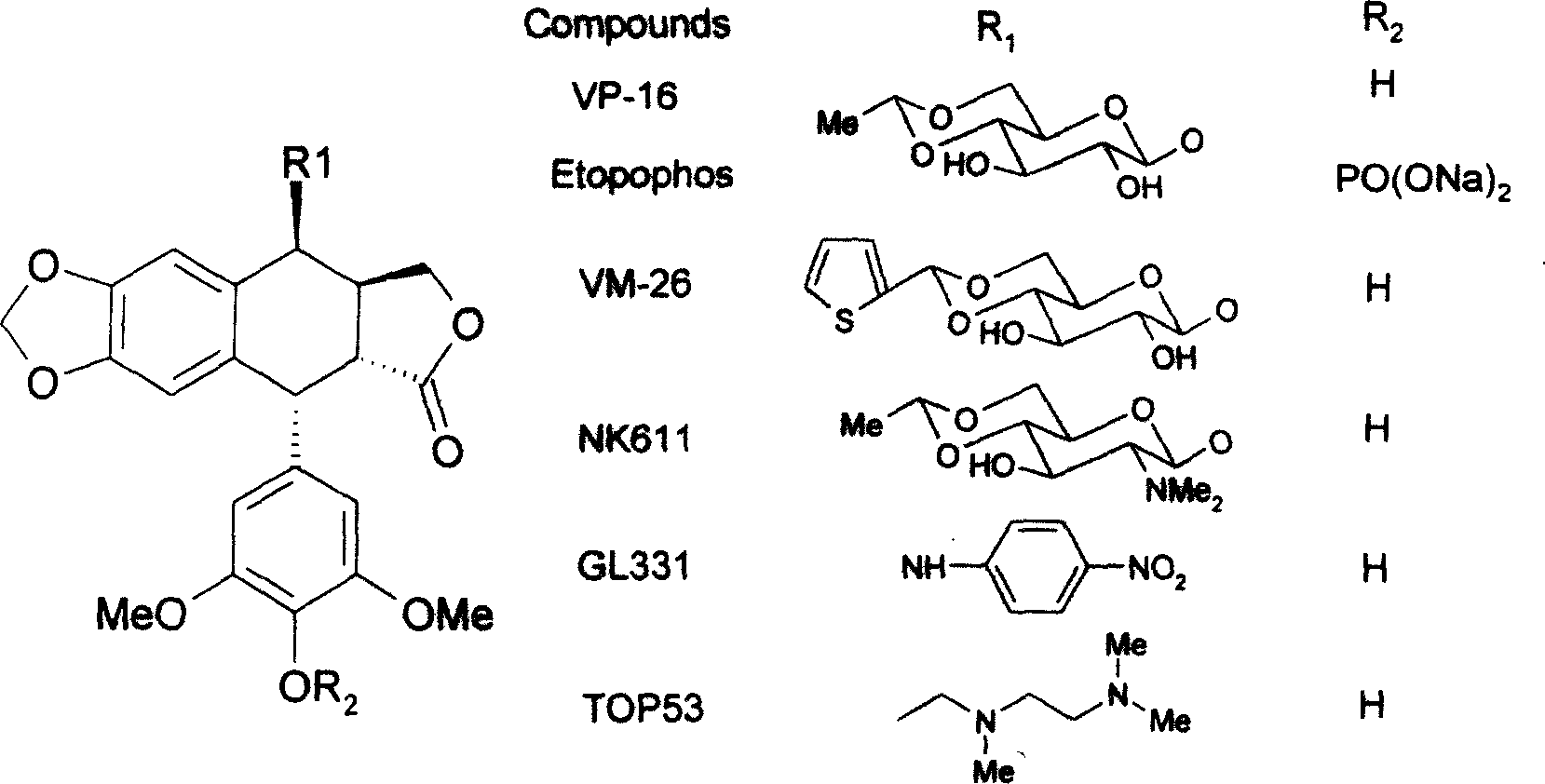Podophyllotoxin compounds and their application and preparation process