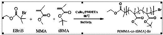 Amphipathic tri-block copolymer having pH responsiveness and preparation method of same