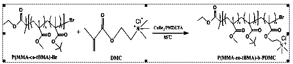 Amphipathic tri-block copolymer having pH responsiveness and preparation method of same