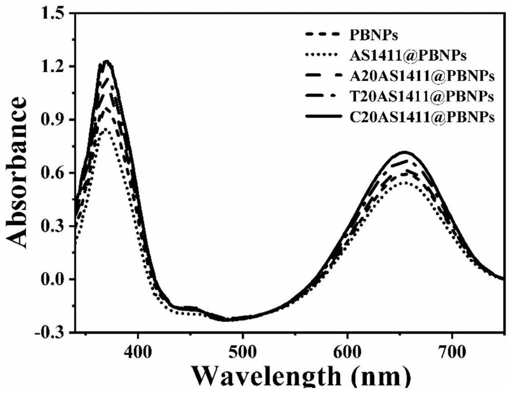 Preparation method of DNA functionalized PBNPs nano-enzyme and application of DNA functionalized PBNPs nano-enzyme in preparation of targeted photo-thermal therapeutic agent