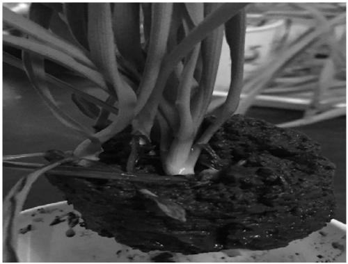 Recyclable mud-water separation material for sludge, and application thereof