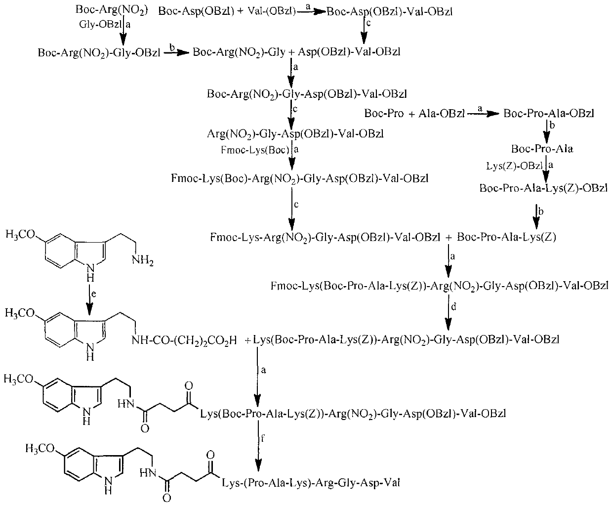 Pentamethoxytryptamine carbonyl propionyl-pak peptide, its preparation, activity and application