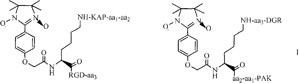 Pentamethoxytryptamine carbonyl propionyl-pak peptide, its preparation, activity and application