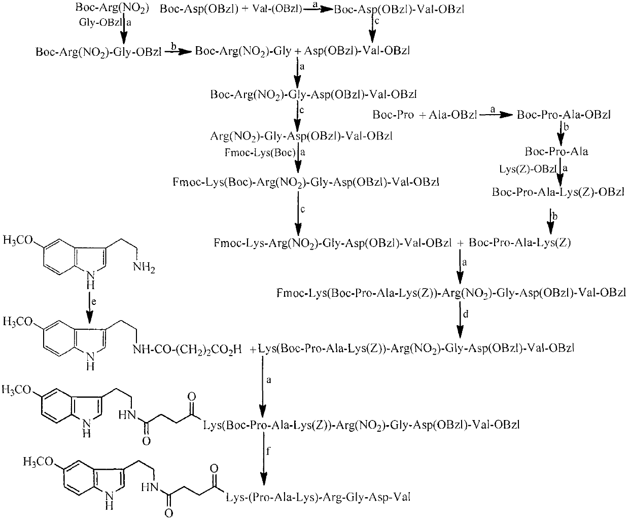 Pentamethoxytryptamine carbonyl propionyl-pak peptide, its preparation, activity and application