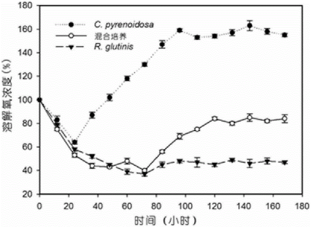 Method for improving biomass and oil fat yield of microorganisms